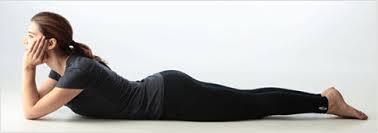 Prone Yoga Poses • Yoga Basics: Yoga Poses, Meditation, History, Philosophy  & More